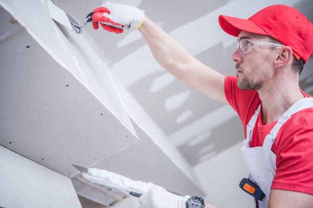 Best Drywall Removal and Disposal  in La Plata, MD